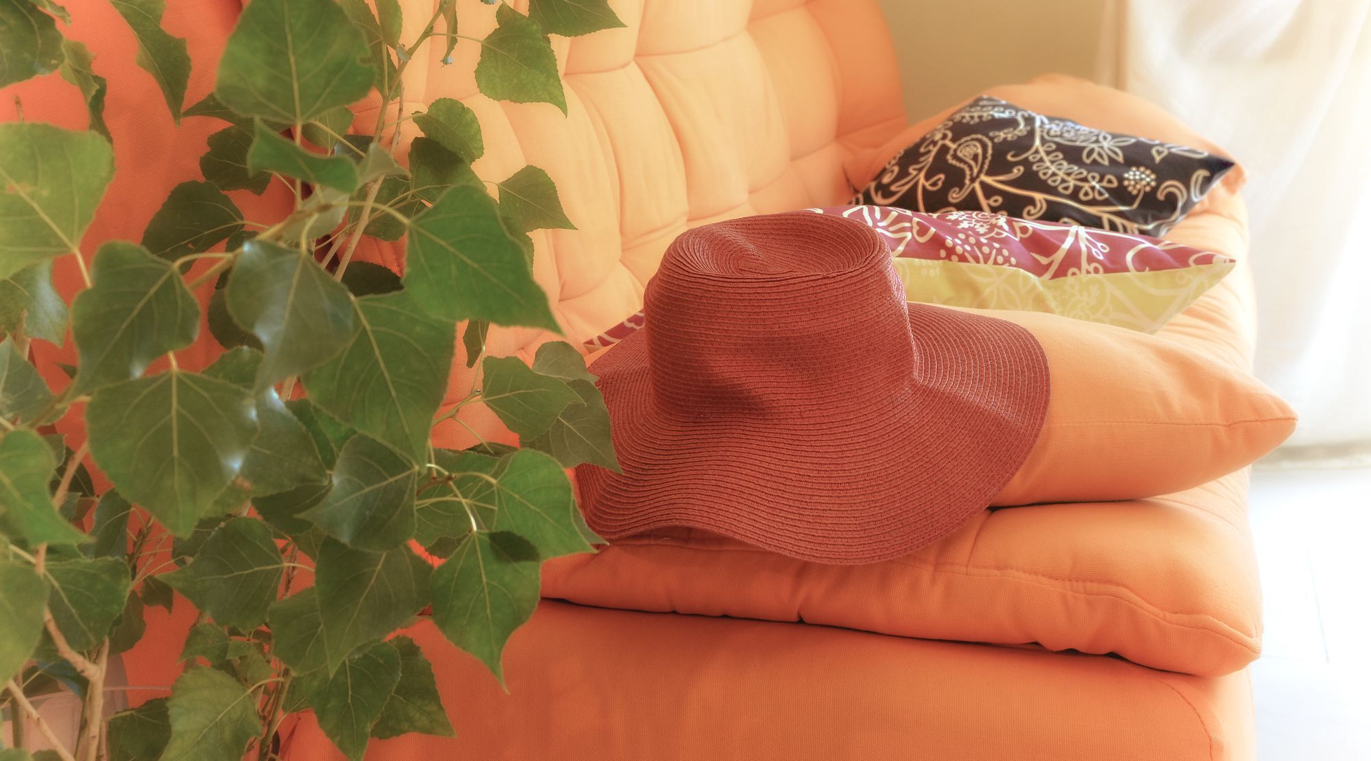 Hotel Belussi &